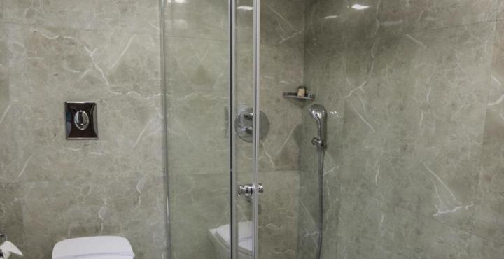 Hotel Gemini Continental, Hazratganj 4*