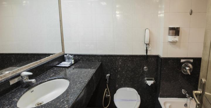 Gemini Continental, Hazratganj Hotel